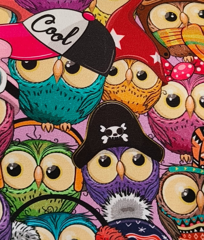 Meika Cool Owl - A-formet plus size kjole med paneler fra Amamiko